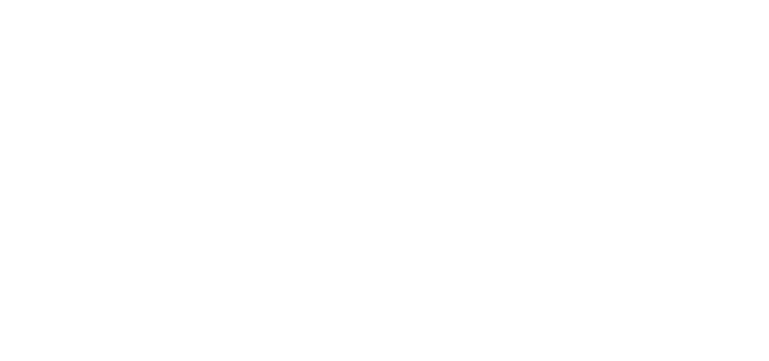 Trium Novem